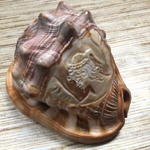 831 M+M Scognamiglio Italy Carved Conch Shell Single Face Cameo